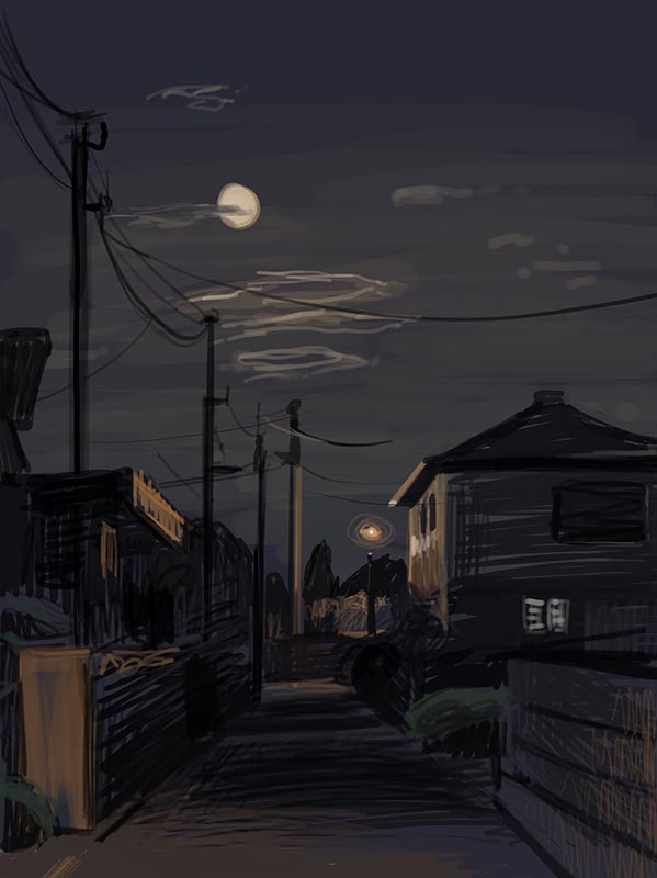3.08 | Night at Kawaguchiko